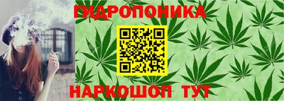 гидра Татарск