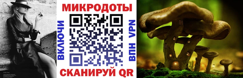 mega ONION  Муравленко  Галлюциногенные грибы Magic Shrooms 