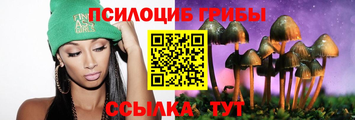 купить  сайты  Галлюциногенные грибы Cubensis  Вход с VPN  Муравленко 